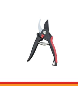 Pruning Shear